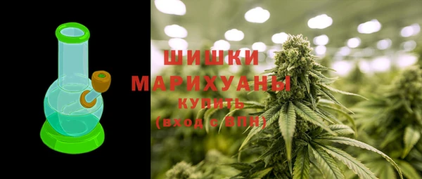 скорость Вяземский