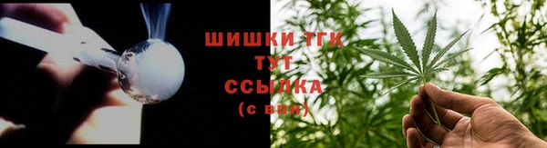 скорость Вяземский