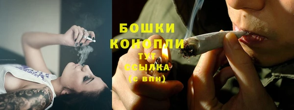 скорость Вяземский