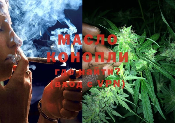 скорость Вяземский