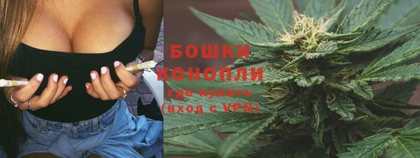 скорость Вяземский