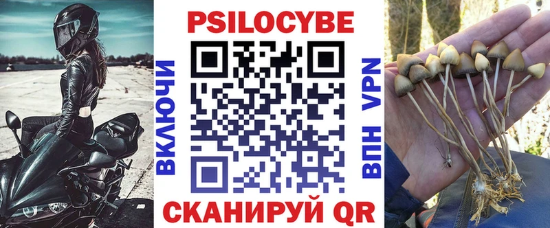 Галлюциногенные грибы GOLDEN TEACHER  это Telegram  Смоленск  закладка 